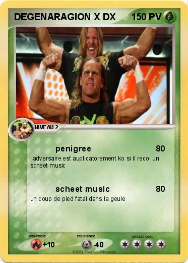 Pokemon DEGENARAGION X DX