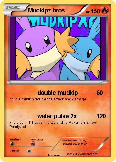 Pokemon Mudkipz bros