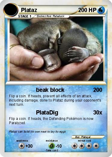 Pokemon Plataz