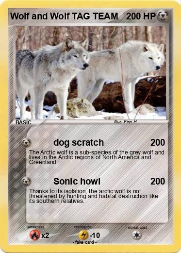 Pokemon Wolf and Wolf TAG TEAM