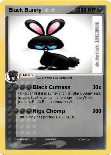 Pokemon Black Bunny