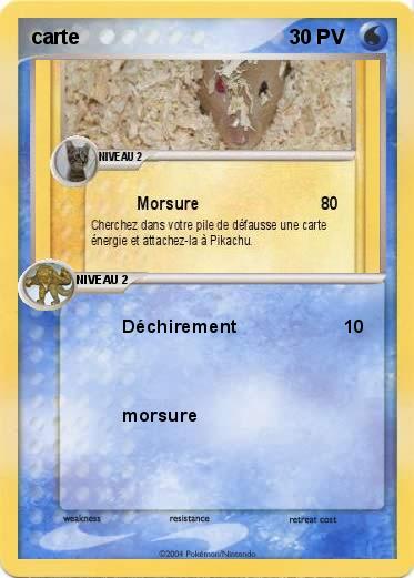 Pokemon carte