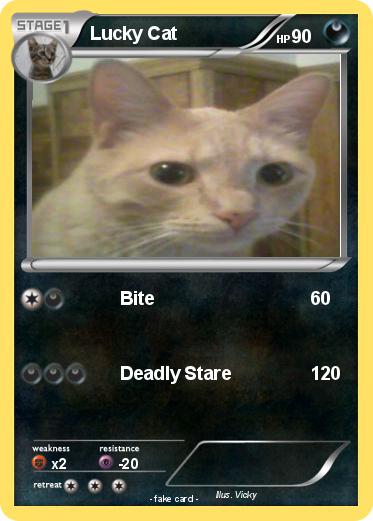 Pokemon Lucky Cat