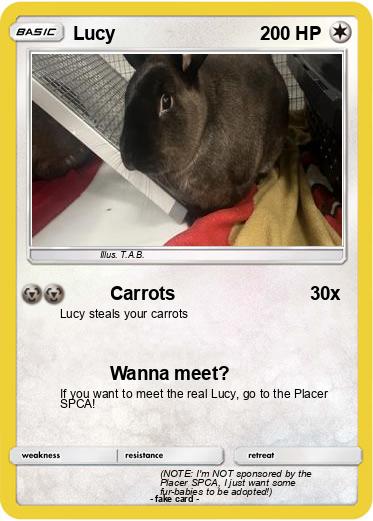 Pokemon Lucy