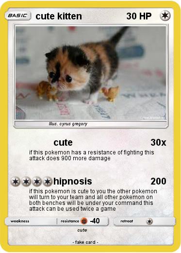 Pokemon cute kitten