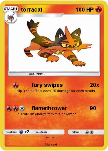 Pokemon torracat
