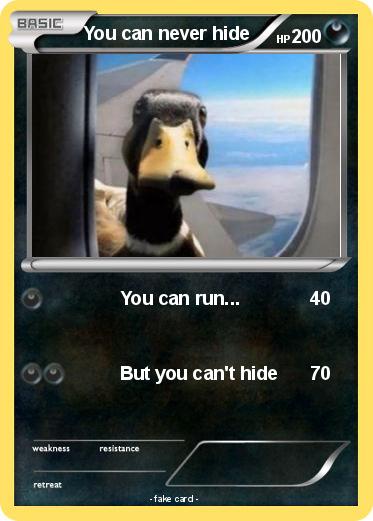 Pokemon You can never hide