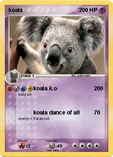 Pokemon koala