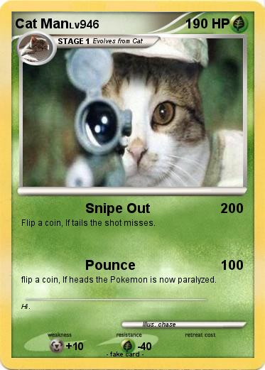 Pokemon Cat Man