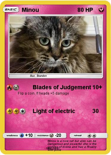 Pokemon Minou