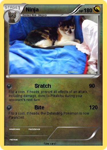 Pokemon Ninja