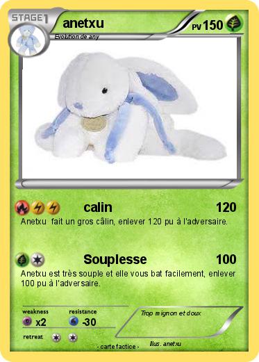 Pokemon anetxu
