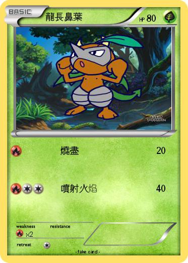 Pokemon 龍長鼻葉