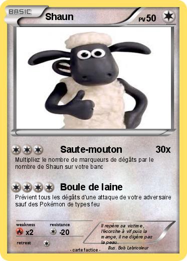 Pokemon Shaun