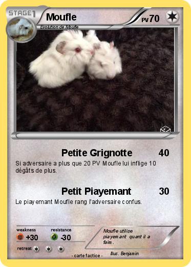 Pokemon Moufle