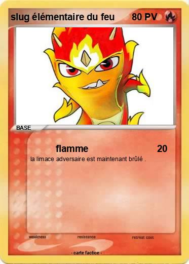 Pokemon slug élémentaire du feu