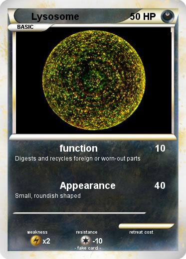 Pokemon Lysosome