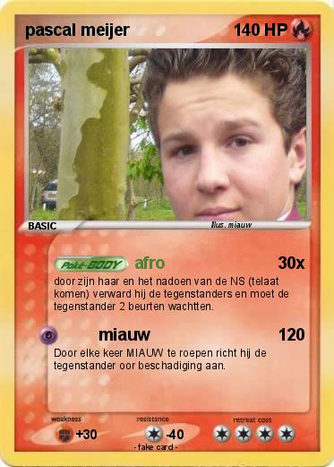 Pokemon pascal meijer