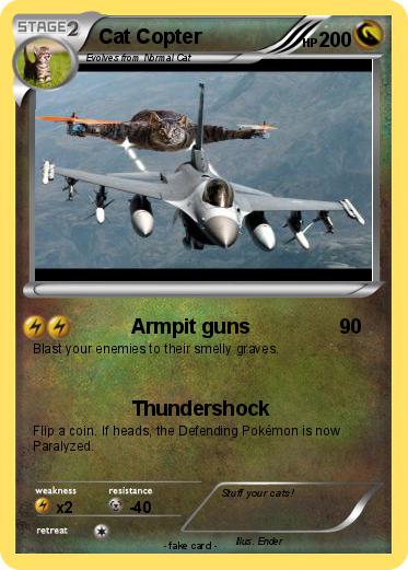 Pokemon Cat Copter