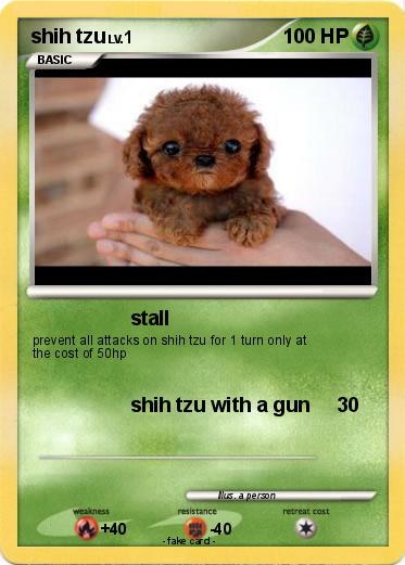 Pokemon shih tzu