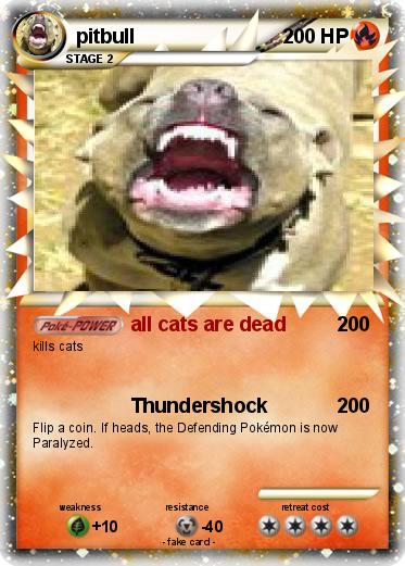 Pokemon pitbull