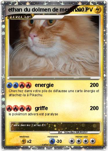 Pokemon ethan du dolmen de merlin