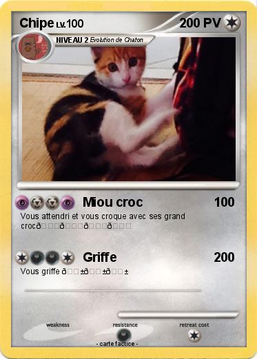 Pokemon Chipe