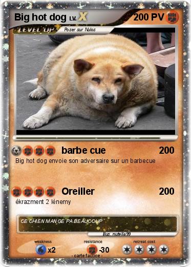 Pokemon Big hot dog