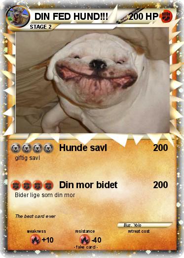 Pokemon DIN FED HUND!!!