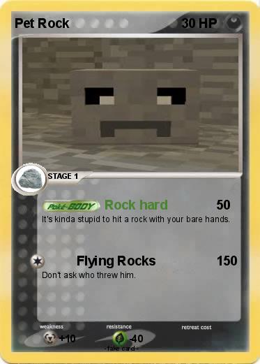 Pokemon Pet Rock