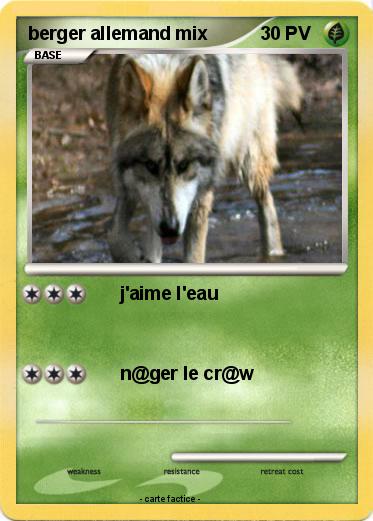 Pokemon berger allemand mix