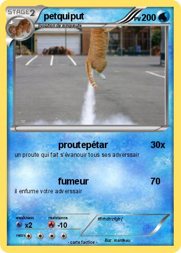 Pokemon petquiput