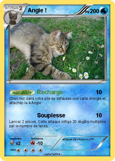 Pokemon Angie !