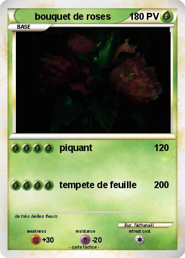 Pokemon bouquet de roses