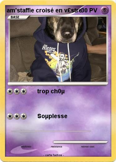 Pokemon am'staffie croisé en v£stre