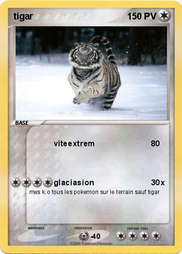 Pokemon tigar