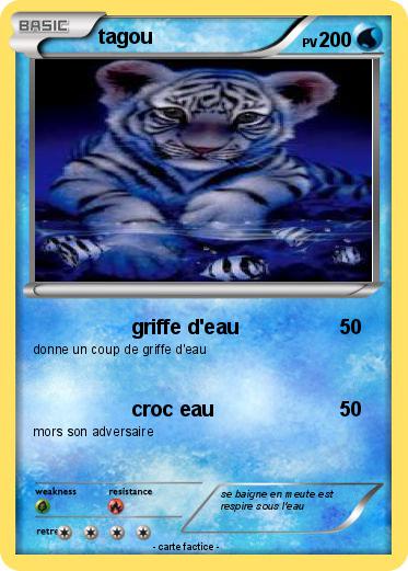 Pokemon tagou