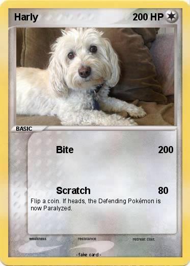 Pokemon Harly