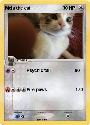 Pokemon Mela the cat