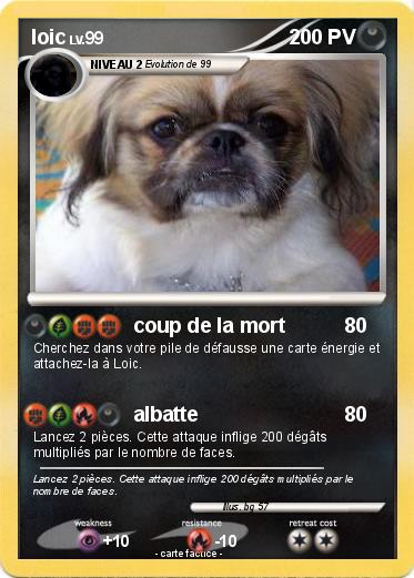 Pokemon loic