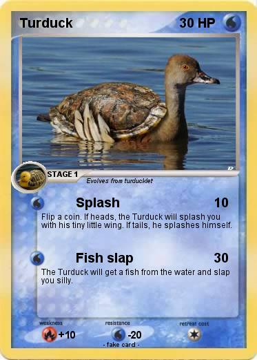 Pokemon Turduck