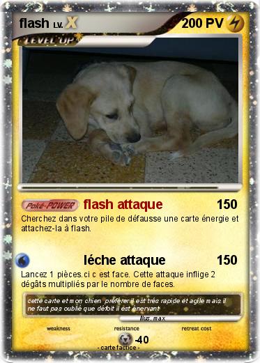 Pokemon flash