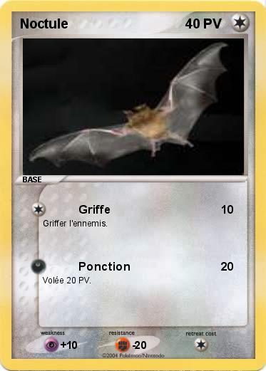 Pokemon Noctule
