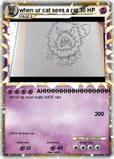 Pokemon when ur cat sees a rat