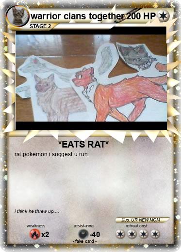 Pokemon warrior clans together