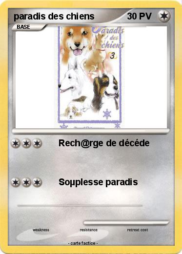 Pokemon paradis des chiens