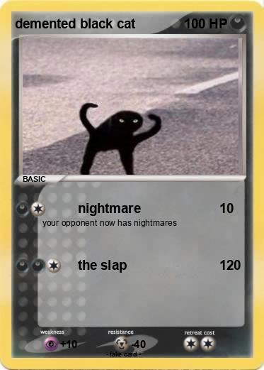 Pokemon demented black cat