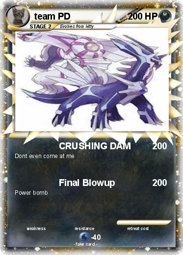 Pokemon team PD