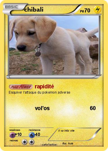 Pokemon chibali