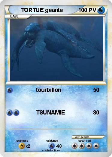 Pokemon TORTUE geante